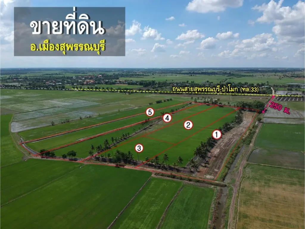 ขายที่ดิน ใกล้สายสุพรรณบุรี-ป่าโมก ทล33 ราคาถูก