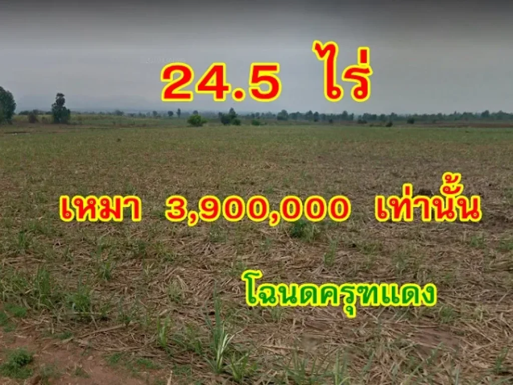 ขายที่ดินโฉนดครุฑแดง 24 ไร่ 2 งาน 39 ตรว ตหนองรี อบ่อพลอย จกาญจนบุรี