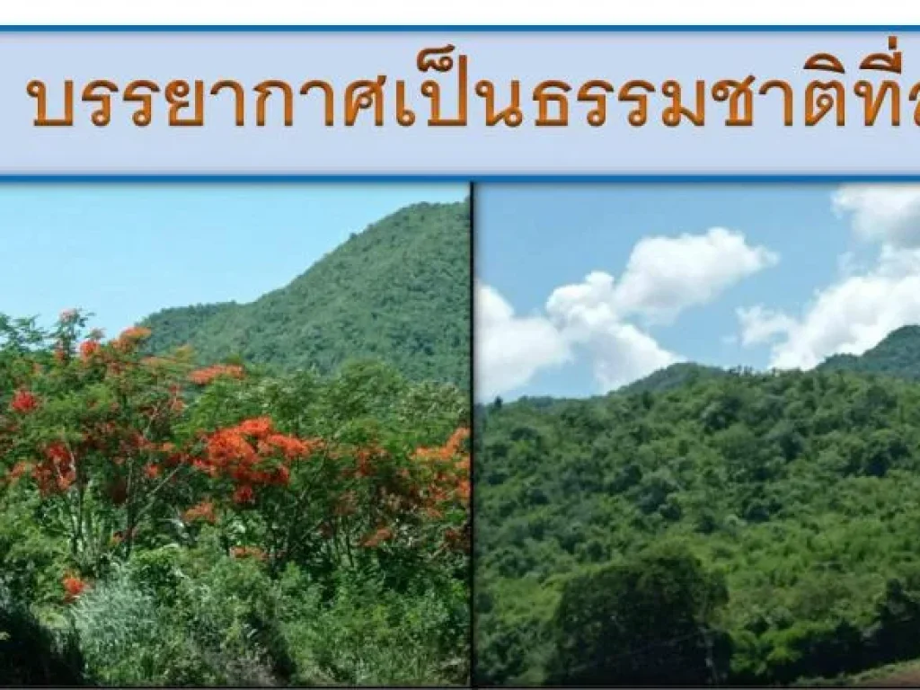 ขายที่ดิน 40-2-76 ไร่ ทำเลดี อยู่แหล่งท่องเที่ยว อไทรโยค จกาญจนบุรี