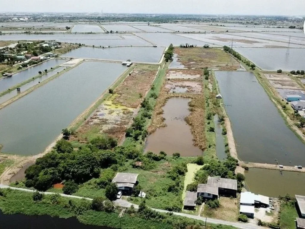 ขายที่ดินเปล่า 60-1-12 ไร่ ติดถนนสุขุมวิท สายเก่า ตคลองเรียบคลองใหม่ คลองด่าน บางบ่อ สมุทรปราการ