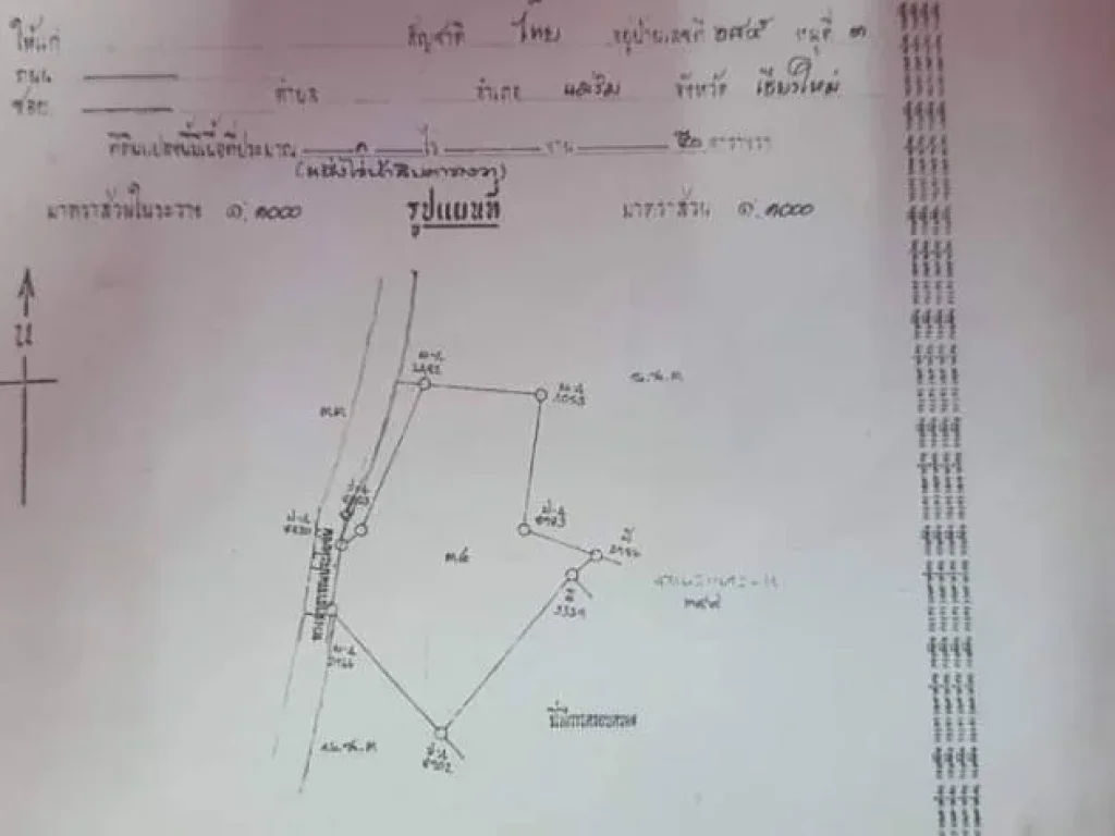 ขายที่ดินติดถนนค้าขายได้ สันโป่งแม่ริม วิวดอย ราคาน่าลงทุน