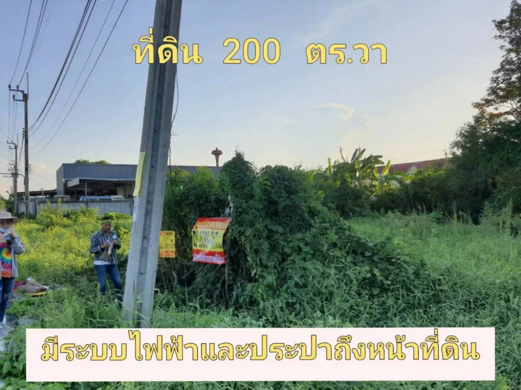 ขายที่ดินติดถนนลาดยาง 200 ตารางวา ถนน บางกรวย-ไทรน้อย อำเภอไทรน้อย จังหวัดนนทบุรี