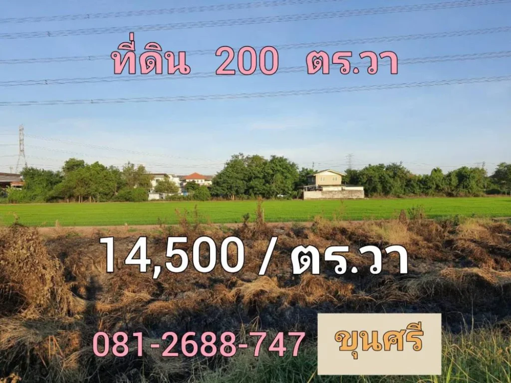 ขายที่ดินติดถนนลาดยาง 200 ตารางวา ถนน บางกรวย-ไทรน้อย อำเภอไทรน้อย จังหวัดนนทบุรี