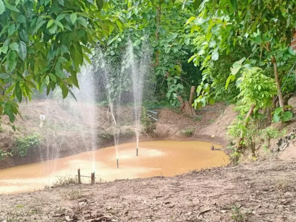 ขายบ้านพร้อมที่ดินท่าผาแม่แจ่มติดแม่น้ำแม่แจ่ม พร้อมสวนราคาน่าลงทุน