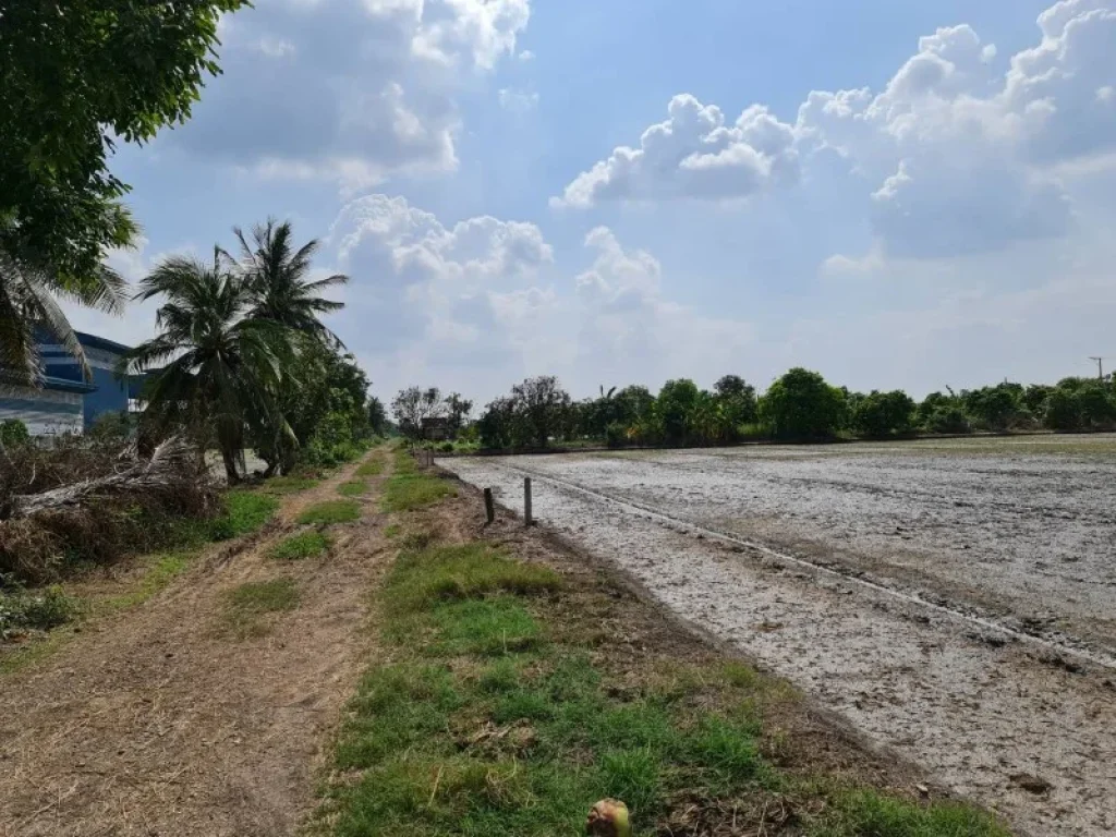 ขายที่ดินทำเลทอง บ้านคลองขวาง อไทรน้อย นนทบุรี น้ำ-ไฟ พร้อม ทำเลดี เดินทางสะดวก