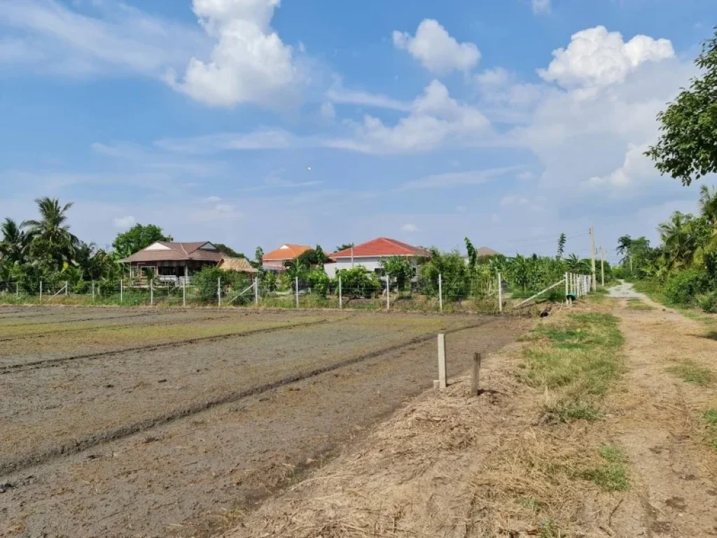 ขายที่ดินทำเลทอง บ้านคลองขวาง อไทรน้อย นนทบุรี น้ำ-ไฟ พร้อม ทำเลดี เดินทางสะดวก