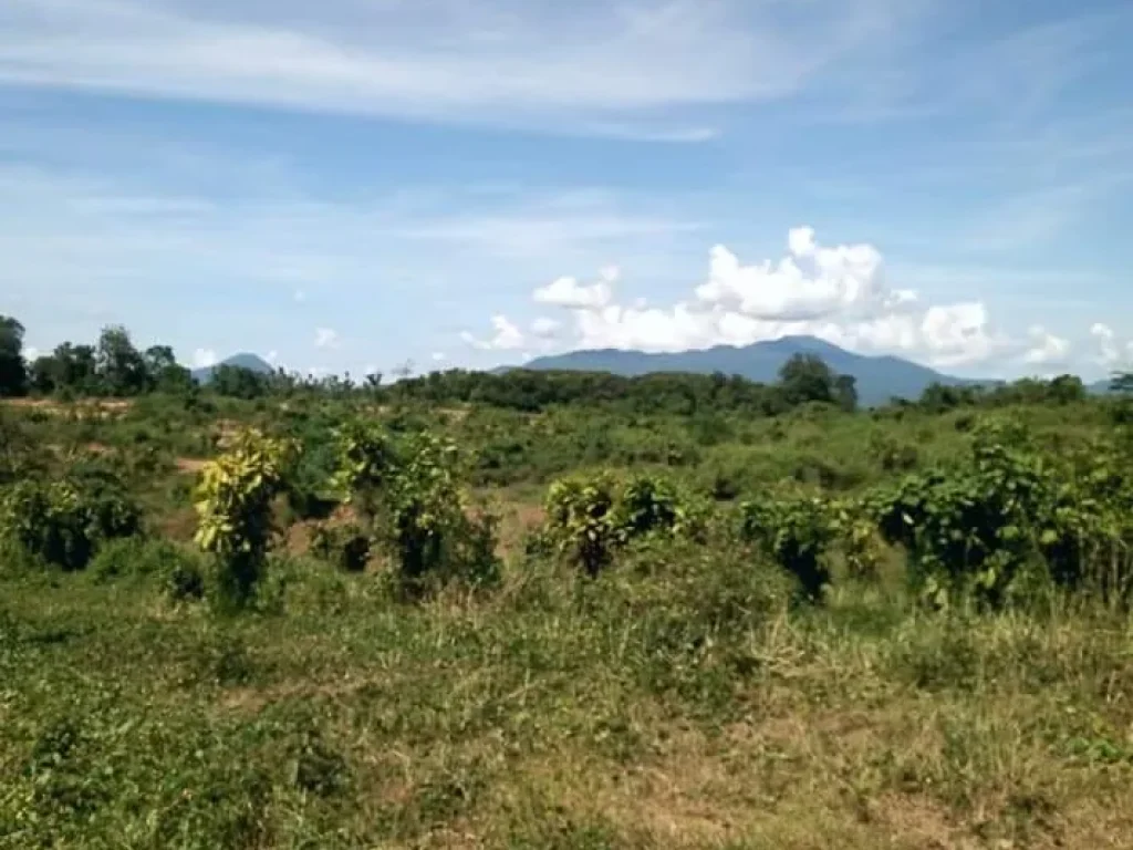 ที่ดินแปลงใหญ่ โฉนด เนิน วิวสวย ราคาถูก อุตรดิตถ์