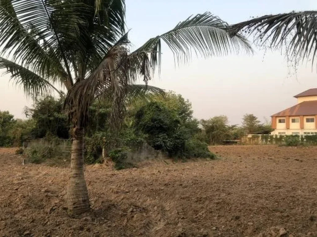 ขายที่ดินเปล่า ติดถนนใหญ่ กุมภวาปี-ศรีธาตุ จังหวัดอุดรธานี