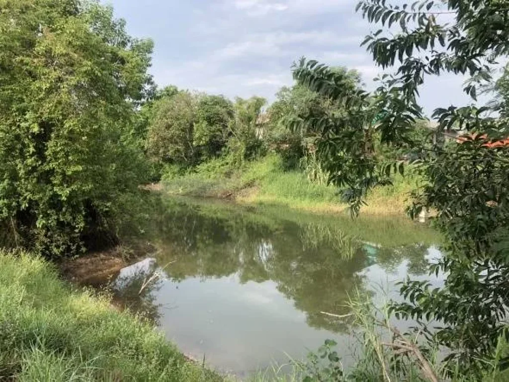 ขายที่ดินเปล่า ติดถนนใหญ่ กุมภวาปี-ศรีธาตุ จังหวัดอุดรธานี