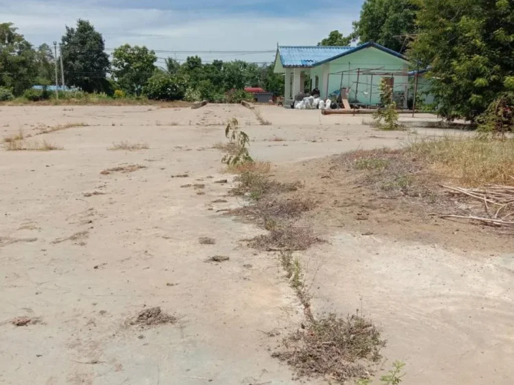 ขายที่ดินแปลงสวยมาก จพิจิตร ติดทางหลวแผ่นดินหมายเลข 1069 สาย บางมูลนาก-วังงิ้ว-ดงขุย