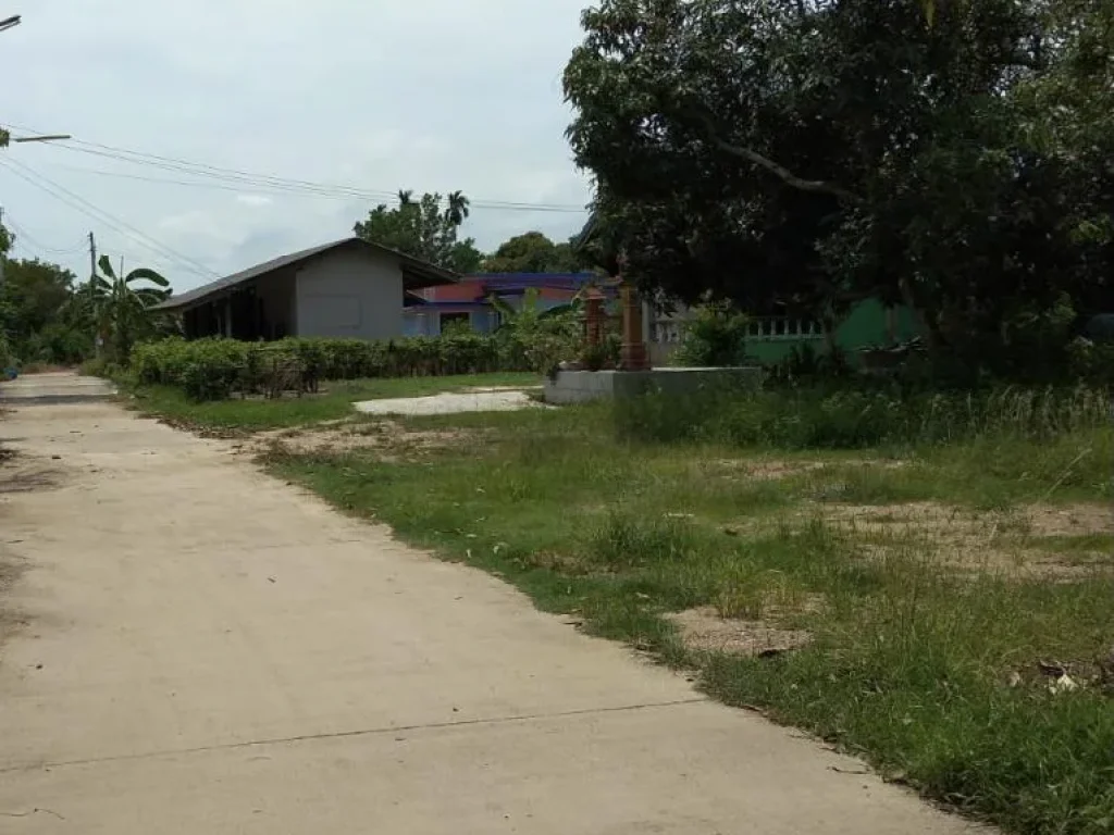 ขายที่ดินสร้างบ้านใกล้ลานหินขาวทะเลหาดแม่รำพึงราคาถูก