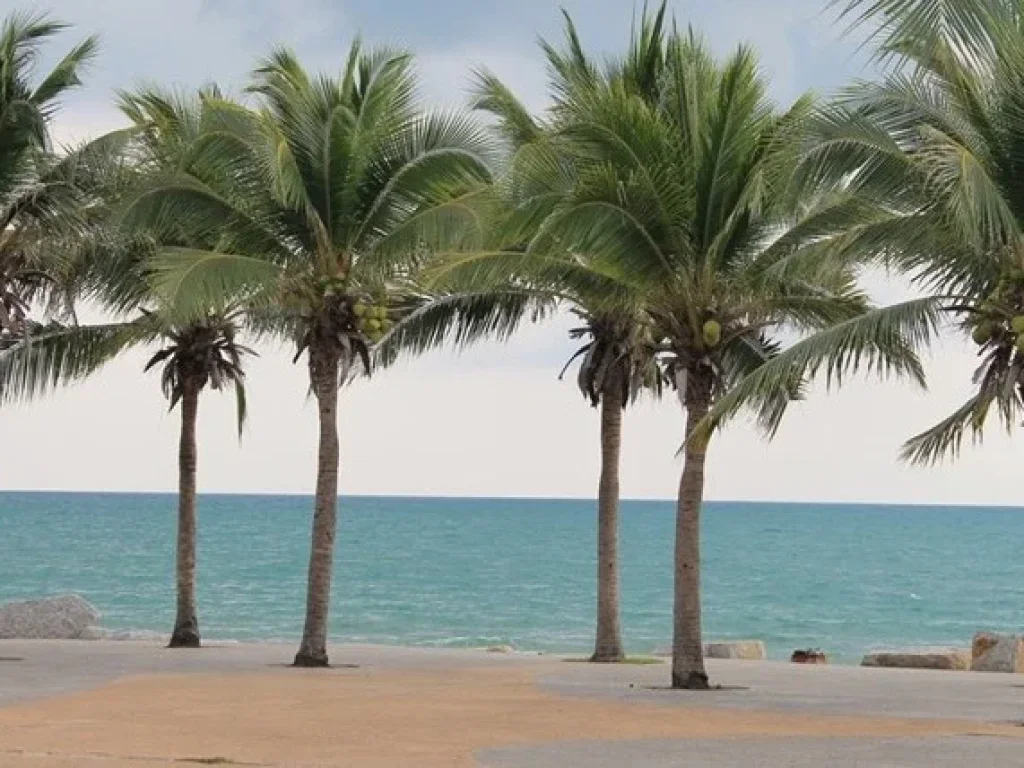 ขายที่ดินสร้างบ้านใกล้ลานหินขาวทะเลหาดแม่รำพึงราคาถูก