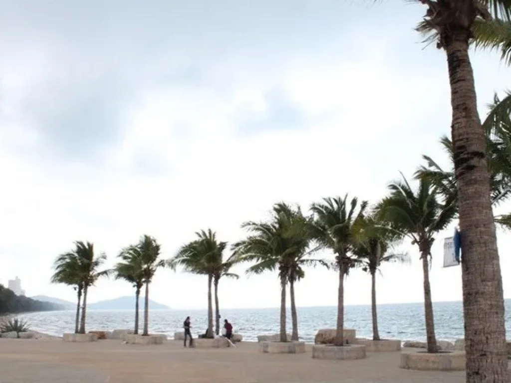 ขายที่ดินสร้างบ้านใกล้ลานหินขาวทะเลหาดแม่รำพึงราคาถูก