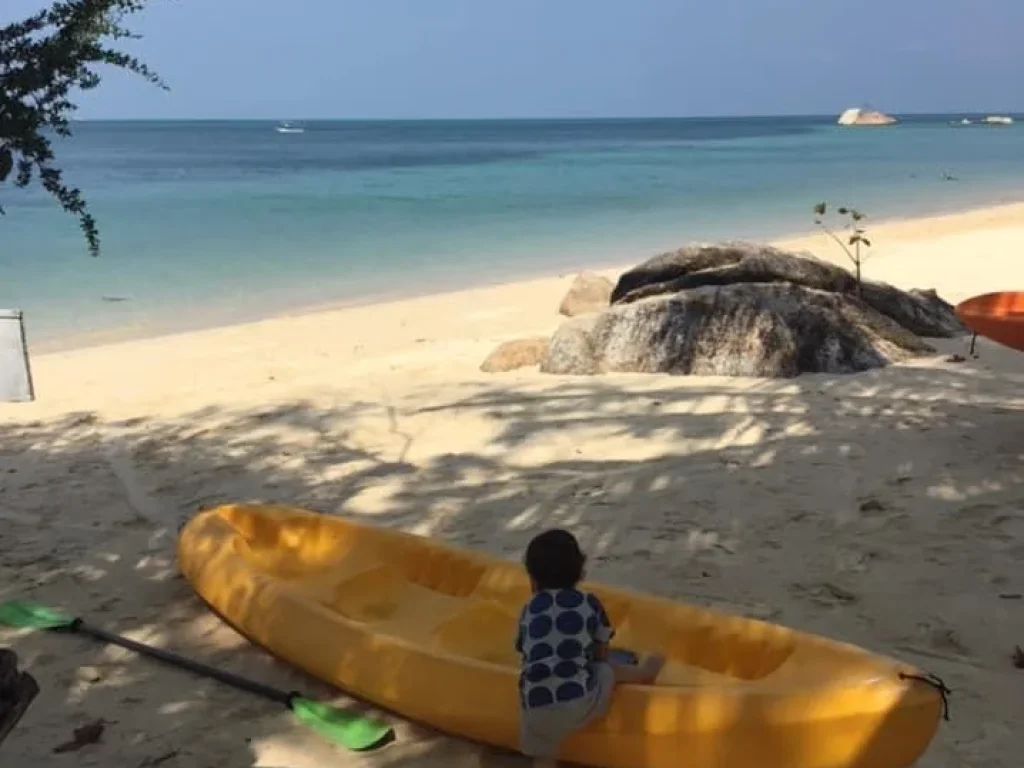 ขายที่ดินติดชายทะแล หาดส่วนตัว บนเกาะพะงัน 1 ไร่ เห็นพระอาทิตย์ตก อ่าวปลายแหลม