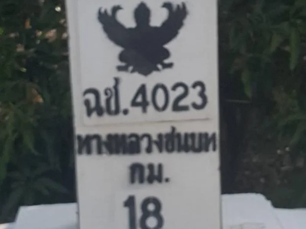 ขายที่ดิน พร้อมสวนมะม่วง 14 ไร่ ตหัวไทร อบางคล้า จฉะเชิงเทรา