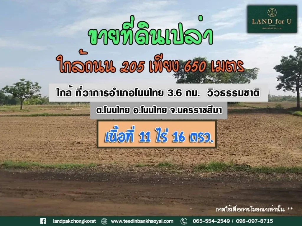 ถูกสุดในย่านนี้ ขายที่ดินโนนไทย ทำเลดี ใกล้ถนน 205 เพียง 650 เมตร วิวธรรมชาติ อากาศดี