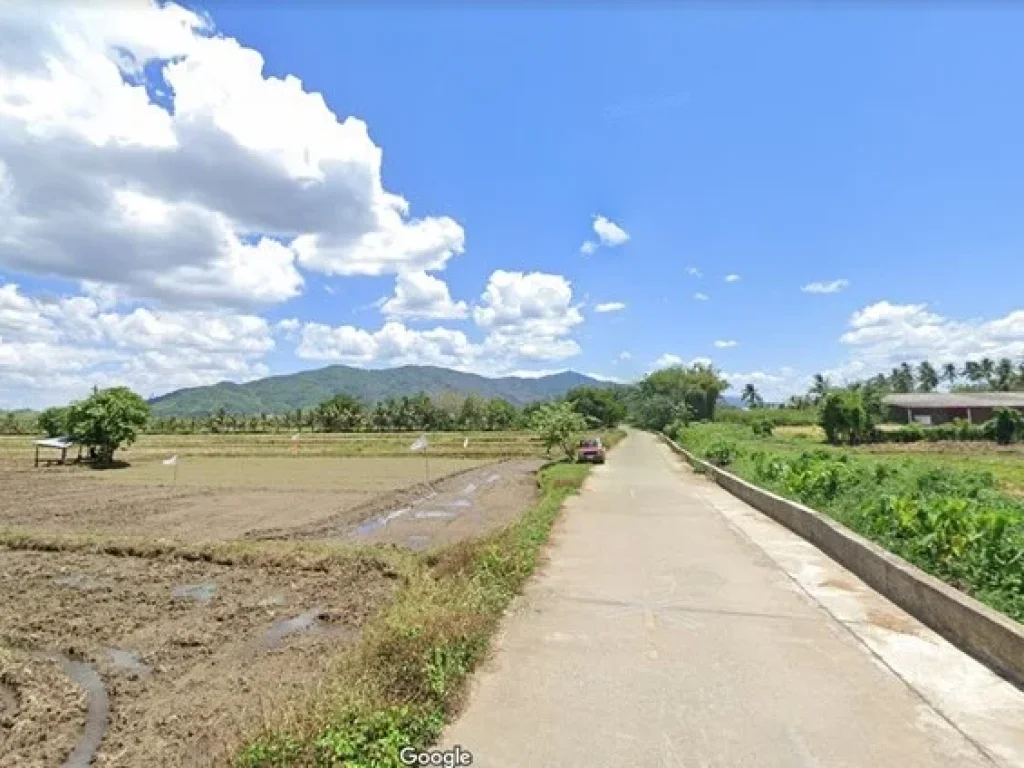 ขายที่ดินหลังวัดศรีบุญเรือง แม่จัน แม่จัน เชียงราย