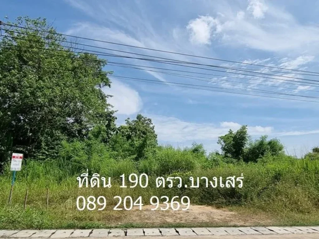 ขายที่ดินถมสวย ราคาถูก ติดโรงเรียนเกล็ดแก้ว ซอยเทศบาล22 ถนนสุขุมวิท บางเสร่ สัตหีบ 089 204 9369 นก