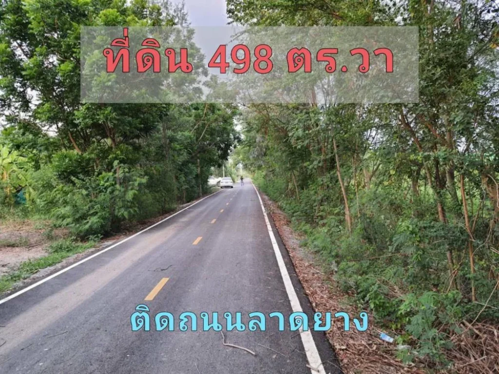 ขายต่ำกว่าราคาตลาด ที่ดิน 498 ตารางวา ติดถนนลาดยาง ไฟฟ้า-ประปาครบ ตำบล หนองเพรางาย อำเภอไทรน้อย นนทบุรี