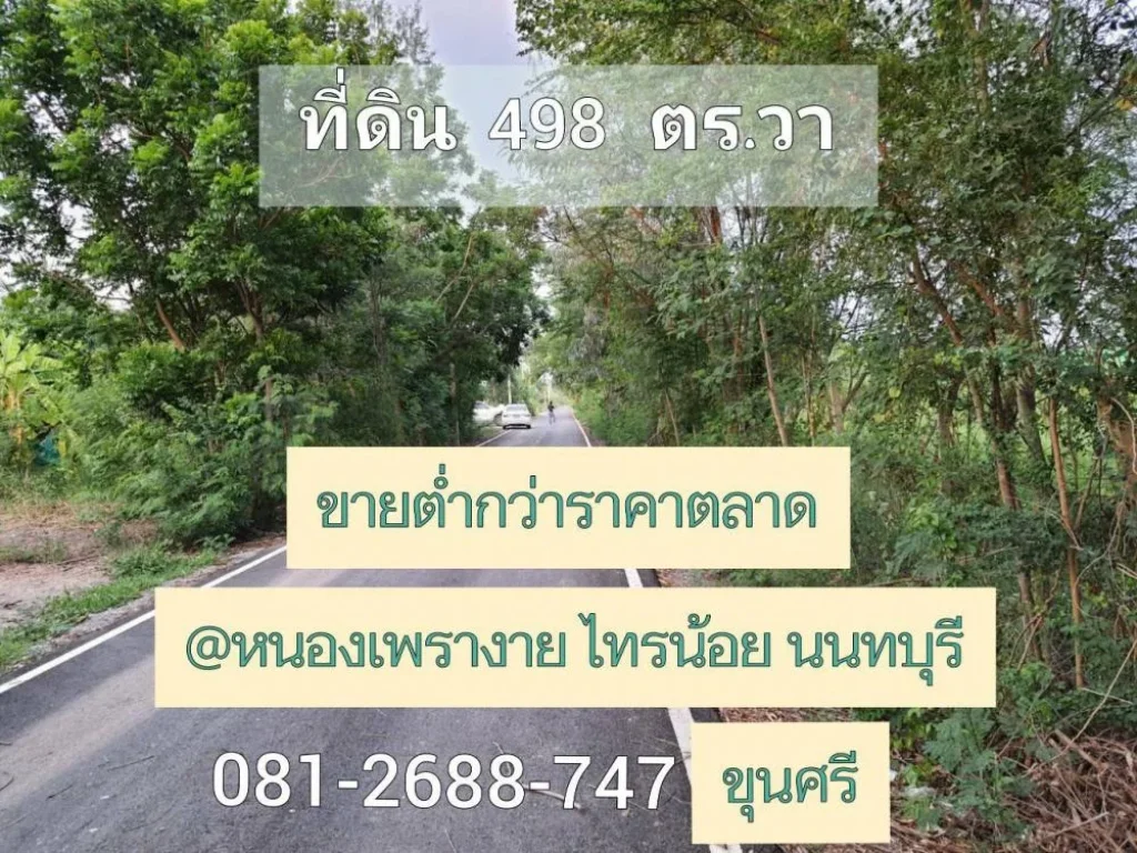 ขายต่ำกว่าราคาตลาด ที่ดิน 498 ตารางวา ติดถนนลาดยาง ไฟฟ้า-ประปาครบ ตำบล หนองเพรางาย อำเภอไทรน้อย นนทบุรี