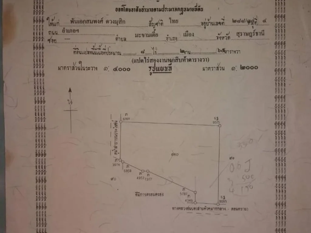 ขายด่วน ที่ดินอยู่บ้านหัวหมากล่าง ติดถนนลาดยาง อำเภอกาญจนดิษฐ์ ตำบลช้างซ้าย จังหวัดสุราษฏร์ธานี