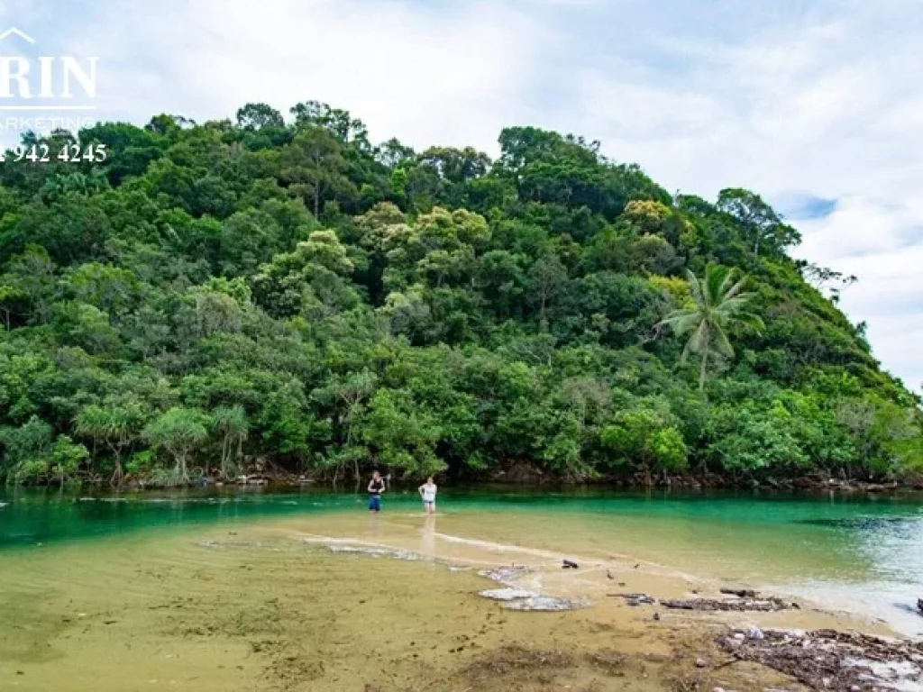 ขายที่ดินติดทะเลเกาะช้างใต้ โฉนด 14 ไร่ ทะเล สวย หาดทรายยาวประมาณ 700 เมตร