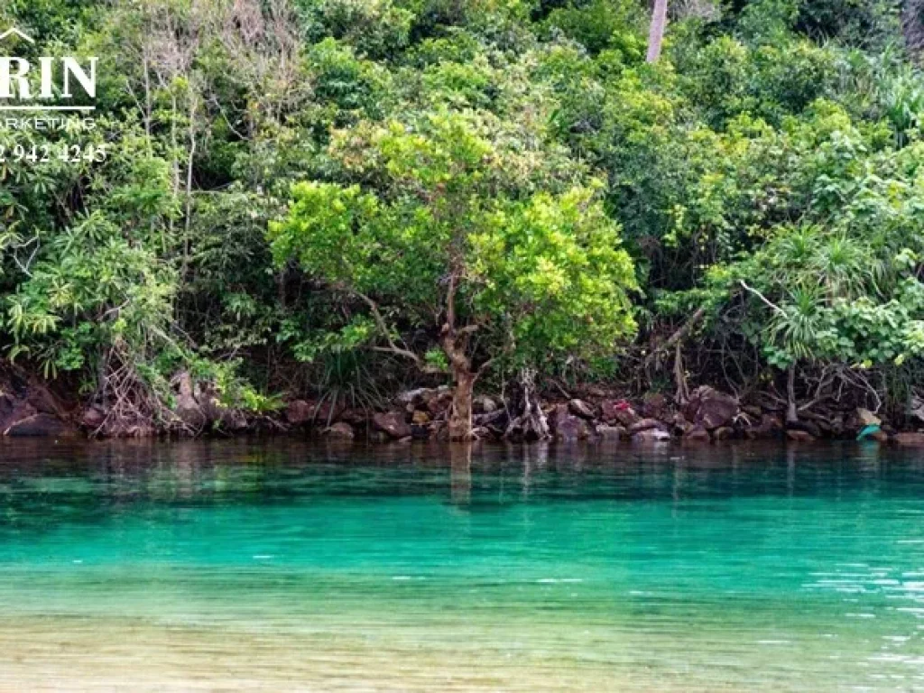 ขายที่ดินติดทะเลเกาะช้างใต้ โฉนด 14 ไร่ ทะเล สวย หาดทรายยาวประมาณ 700 เมตร