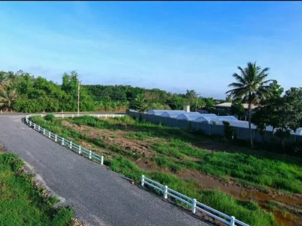 ขายที่ดิน ปทุมธานี หนองเสือ ขนาดกำลังดี 200 ตรว คลอง 9 หนองเสือ ปทุมธานี