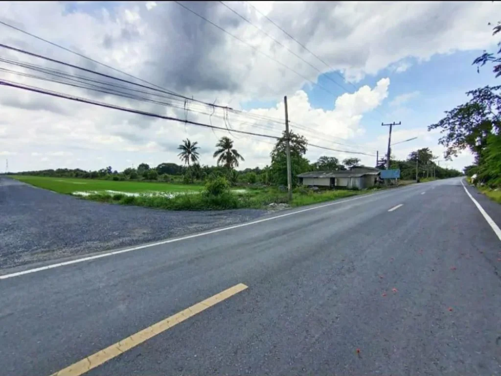 ขายที่ดิน ปทุมธานี หนองเสือ ขนาดกำลังดี 200 ตรว คลอง 9 หนองเสือ ปทุมธานี