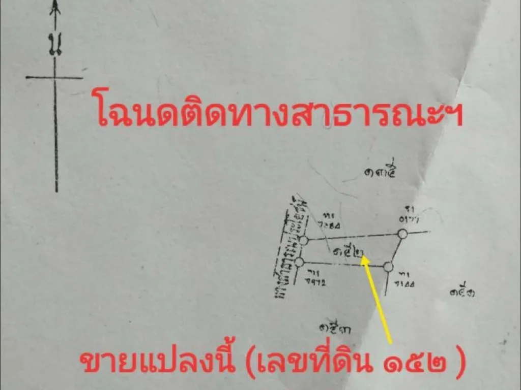 ขายที่ดิน 1 ไร่ 87 ตรว พะเยา อากาศดี เย็นสบาย ภูเขาล้อมรอบ