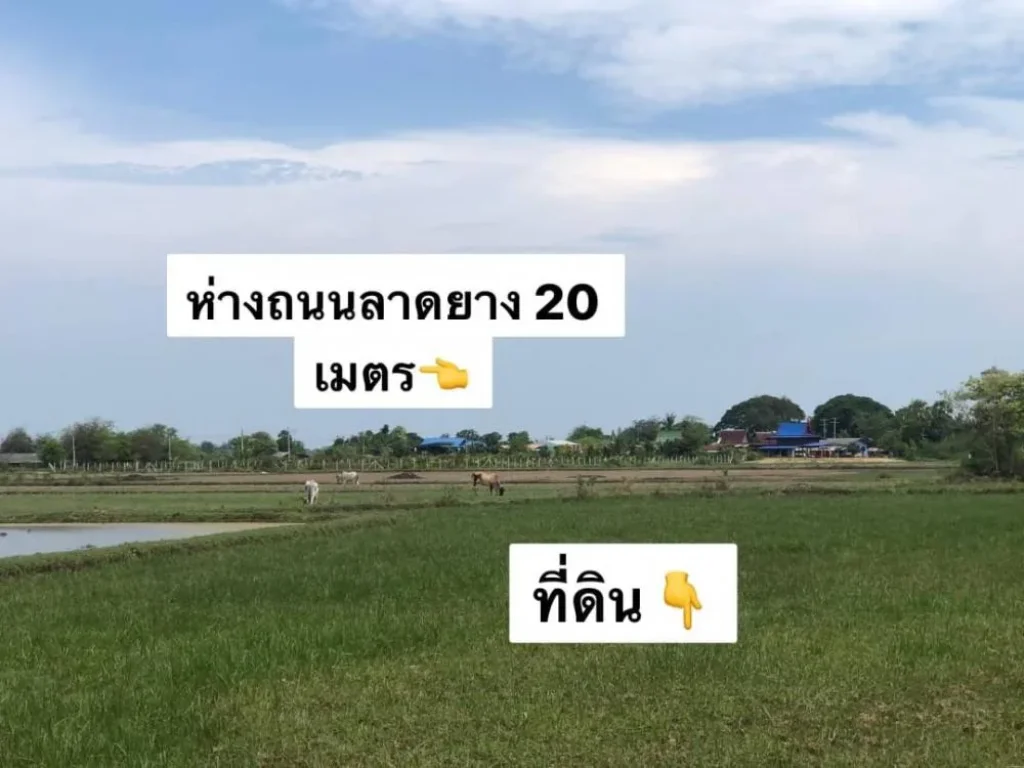 ที่ดิน 1 ไร่ 3 งาน 95 ตรว ใกล้เพชรเกษม ใกล้ที่ท่องเที่ยว ลมดีคาเฟ่ หลงรักนา