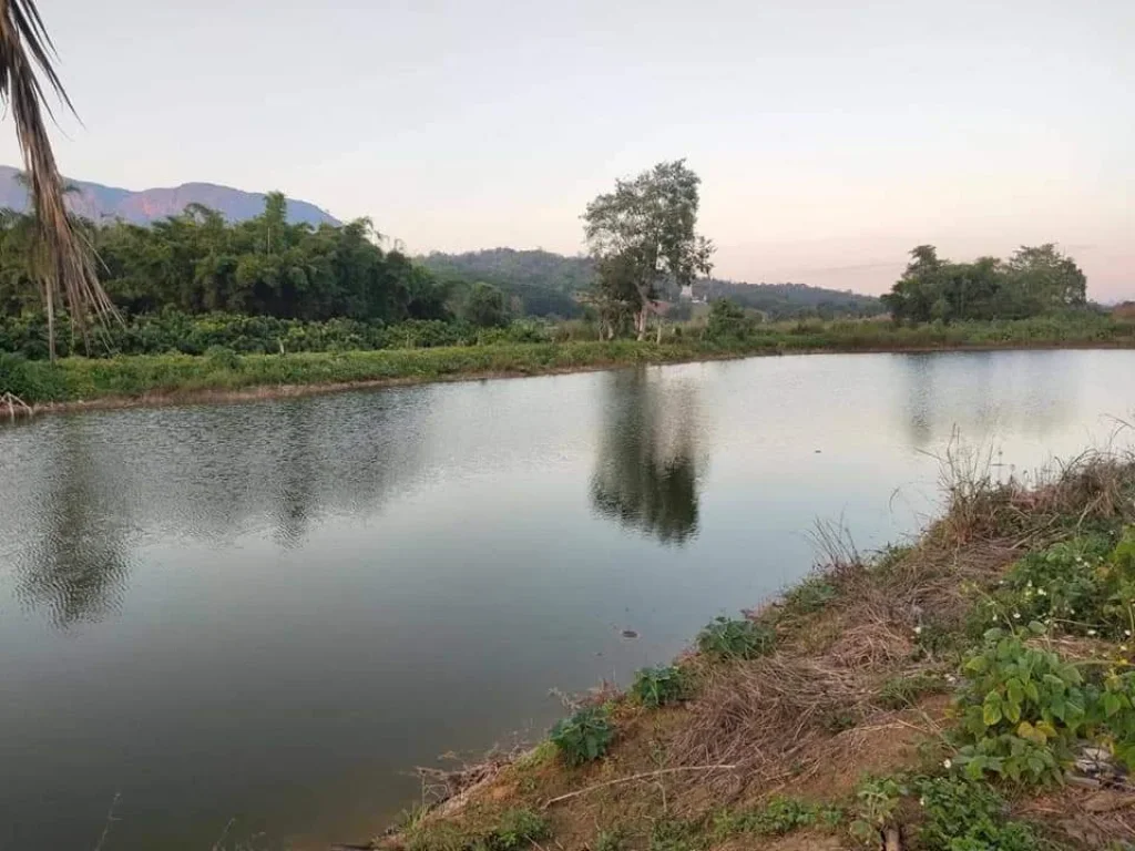 ขายที่ดินวิวดอยหลวง มีบ่อน้ำ เหมาะทำบ้านสวน ราคาถูก