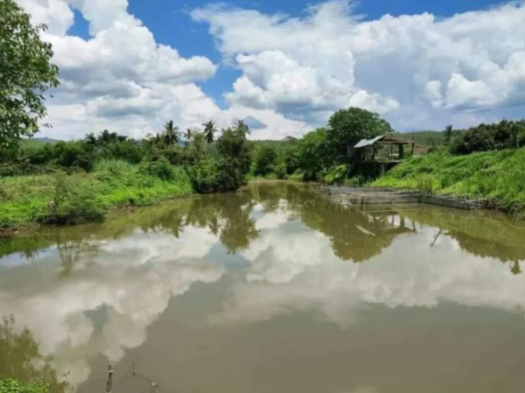 ขายที่ดินบ้านวังจ๊อม ติดน้ำไหลผ่าน เชียงดาว ราคาน่าลงทุน