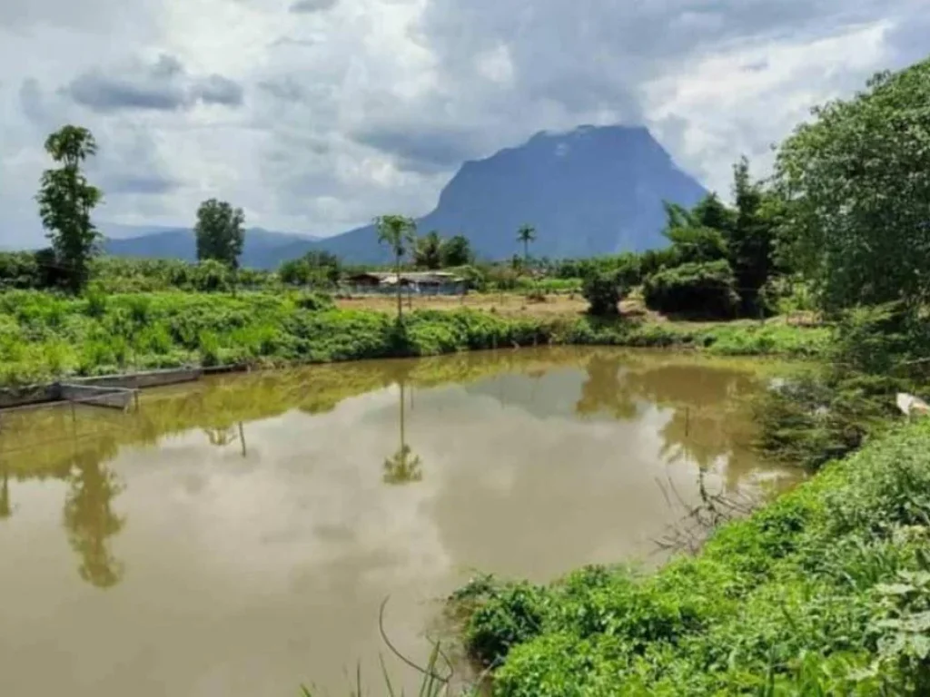 ขายที่ดินบ้านวังจ๊อม ติดน้ำไหลผ่าน เชียงดาว ราคาน่าลงทุน