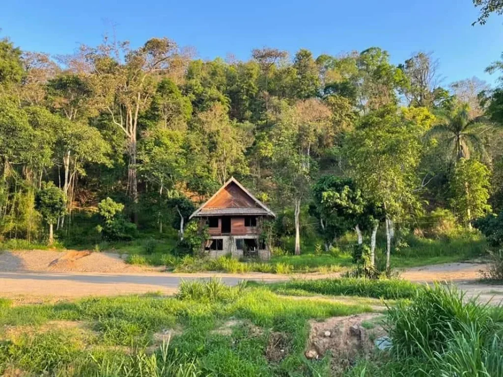 ขายที่ดินป่าเมี่ยง ดอยสะเก็ต ติดถนนสายหลัก ทำเลทอง ราคาน่าลงทุน