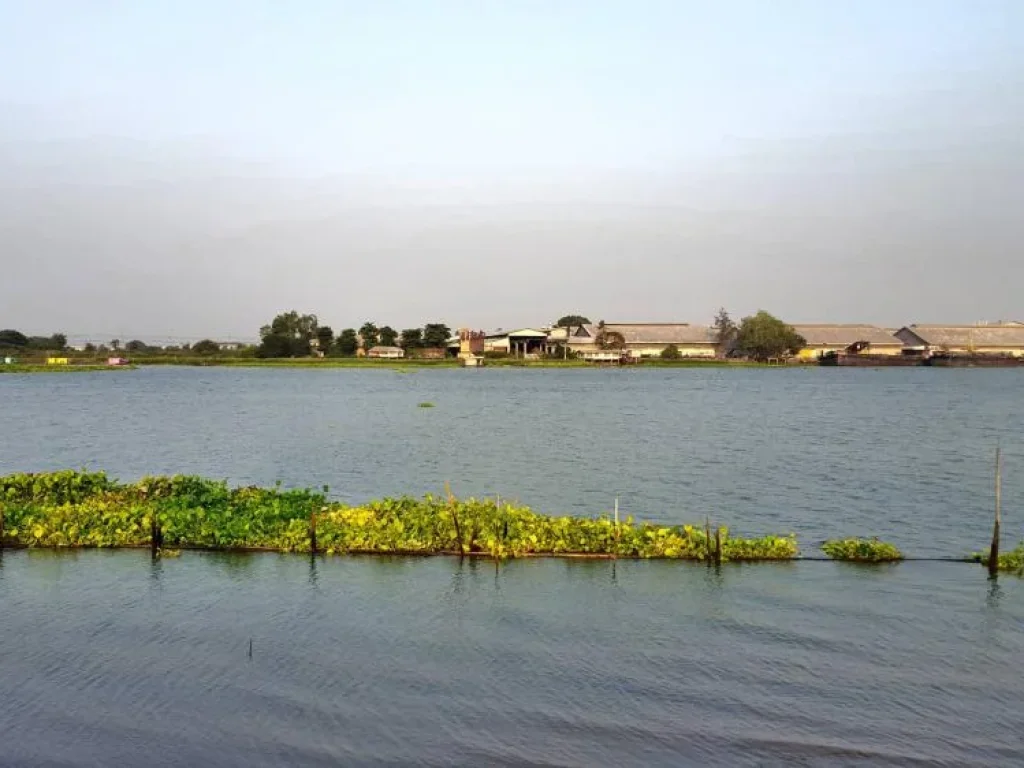 ขายที่ดินติดแม่น้ำเจ้าพระยา รหัสทรัพย์ บท036 ที่ดินติดแม่น้ำเจ้าพระยา เนื้อที่ 2-2-0 ไร่ อบางไทร จพระนครศรีอยุธยา