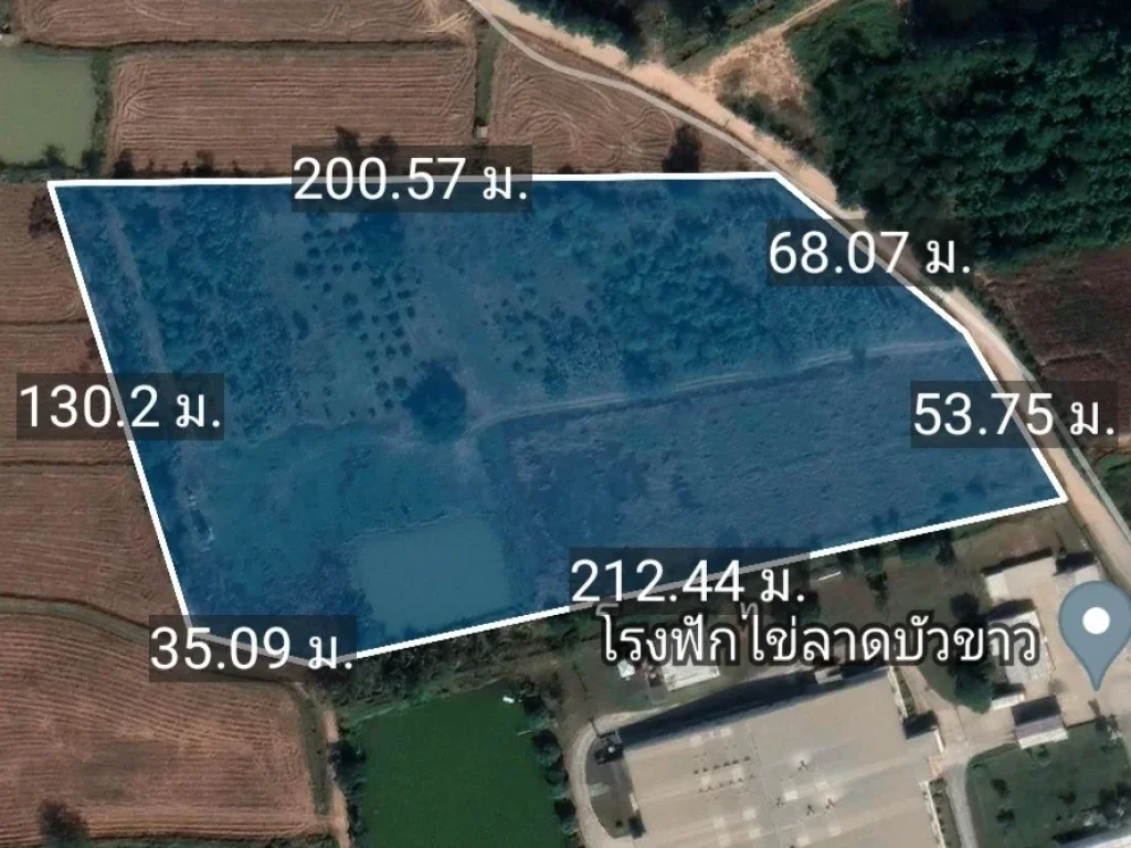 ขายที่ดินลาดบัวขาวสีคิ้ว 16 ไร่ 379 ตรว แถม พร้อมสักทอง พะยูงฯ สุดคุ้ม ข้างโรงฟักไข่CPหายาก