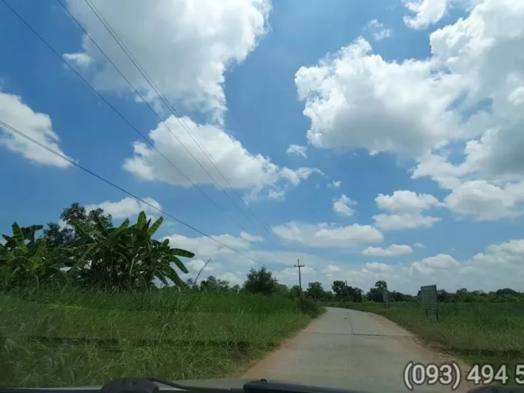 ขายที่ดินลาดบัวขาวสีคิ้ว 16 ไร่ 379 ตรว แถม พร้อมสักทอง พะยูงฯ สุดคุ้ม ข้างโรงฟักไข่CPหายาก