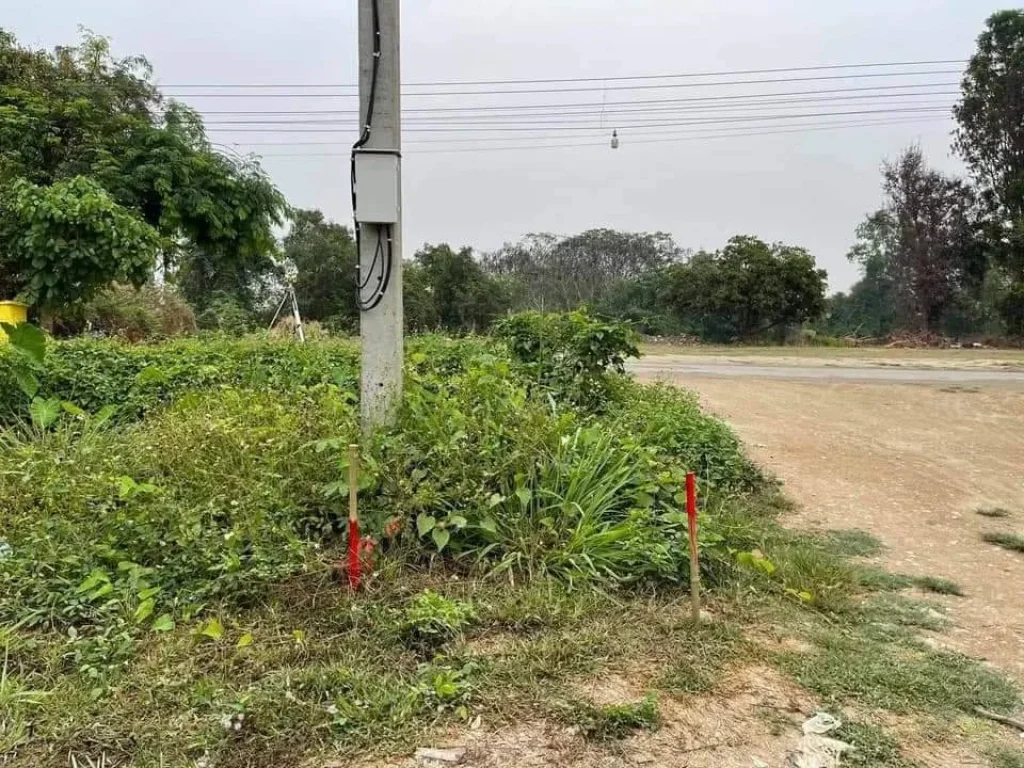 ขายที่ดินบ้านปาบง สารภี ห่างตลาดเจริญเจริญเพียง3km