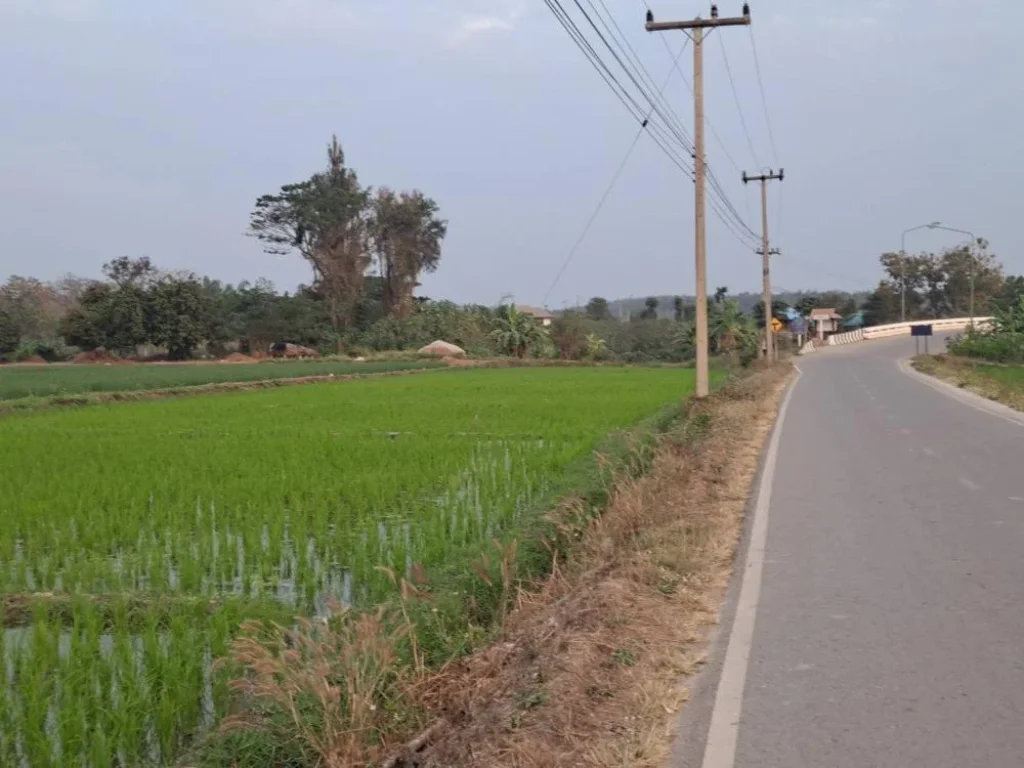 ขายที่ดินพื้นที่สวย บ้านทุ่งศาลา ตกลบดอนเปา อำเภอแม่วาง จังหวัดเชียงใหม่ พื้นที่ 9 ไร่ ไร่ละ 800000บาท สามารถทำการเกษตรได้และใกล้แหล่งน้ำ