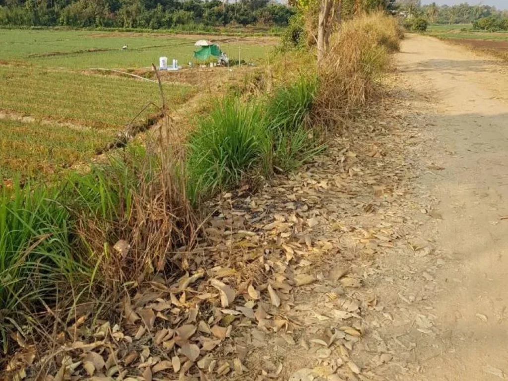 ขายที่ดินพื้นที่สวย บ้านทุ่งศาลา ตกลบดอนเปา อำเภอแม่วาง จังหวัดเชียงใหม่ พื้นที่ 9 ไร่ ไร่ละ 800000บาท สามารถทำการเกษตรได้และใกล้แหล่งน้ำ