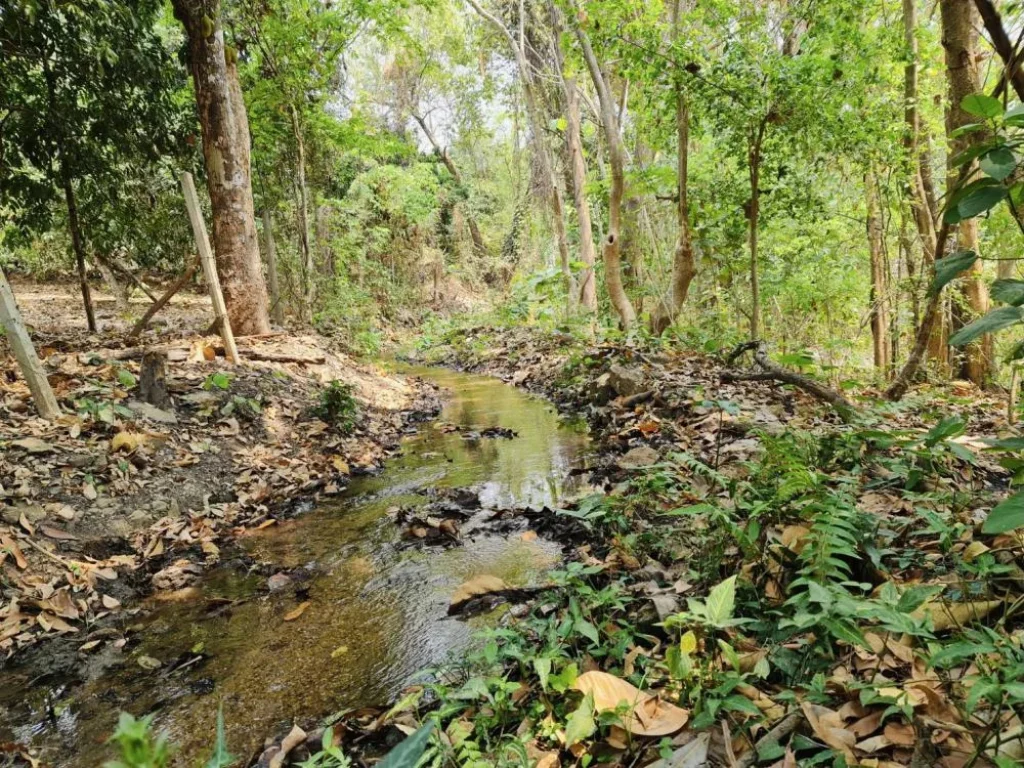 ขายที่เเปลงสวยหายาก ติดเเม่น้ำ 11 ไร่ 161 ตรว ทางขึ้นดอยอินทนนท์