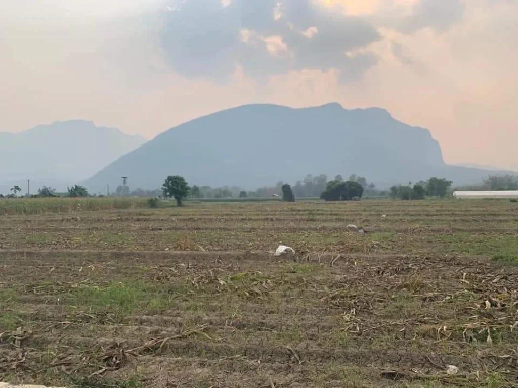 ขายที่ดินเมืองงาย เชียงดาววิวดอยหลวง ดอยนาง ราคาถูก