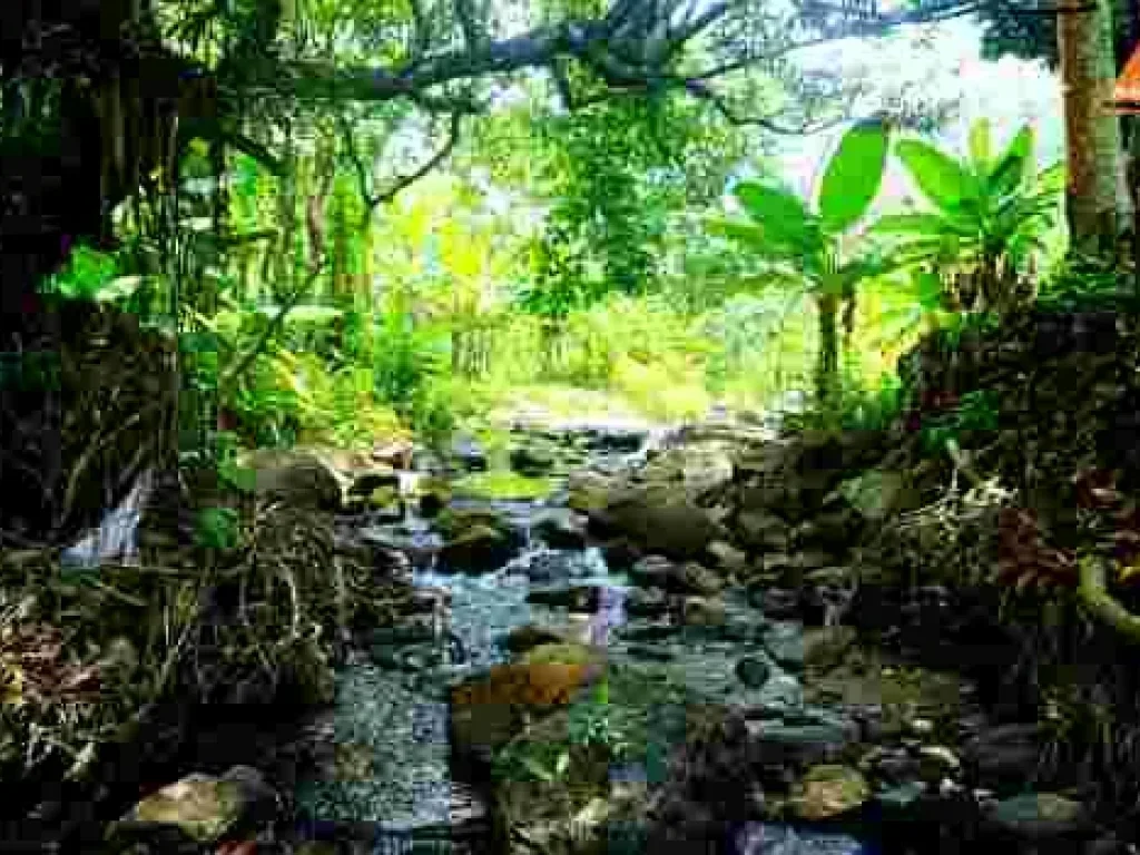 ขายที่ดิน บ้านปางจำปี อำเภอแม่ออน จังหวัดเชียงใหม่