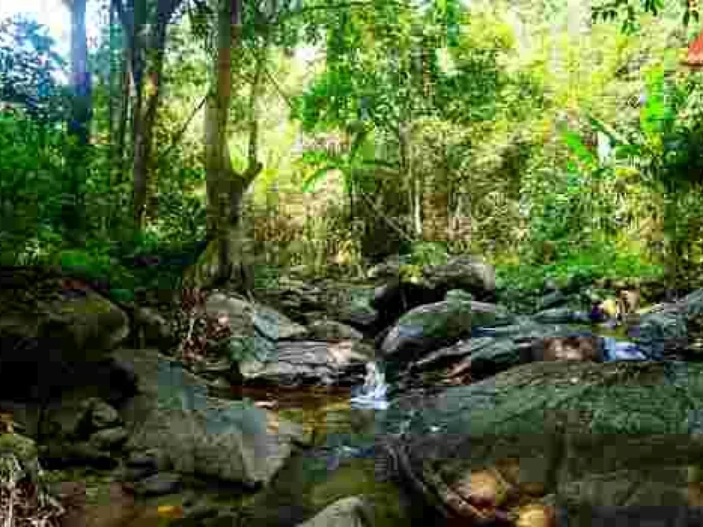 ขายที่ดิน บ้านปางจำปี อำเภอแม่ออน จังหวัดเชียงใหม่