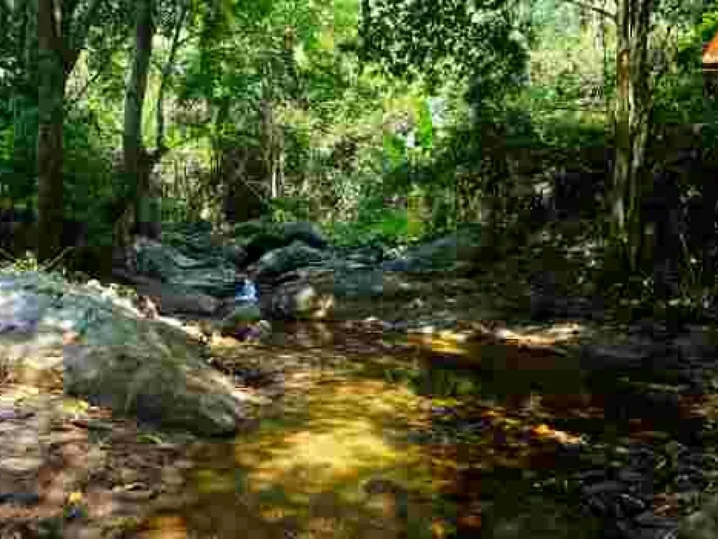 ขายที่ดิน บ้านปางจำปี อำเภอแม่ออน จังหวัดเชียงใหม่