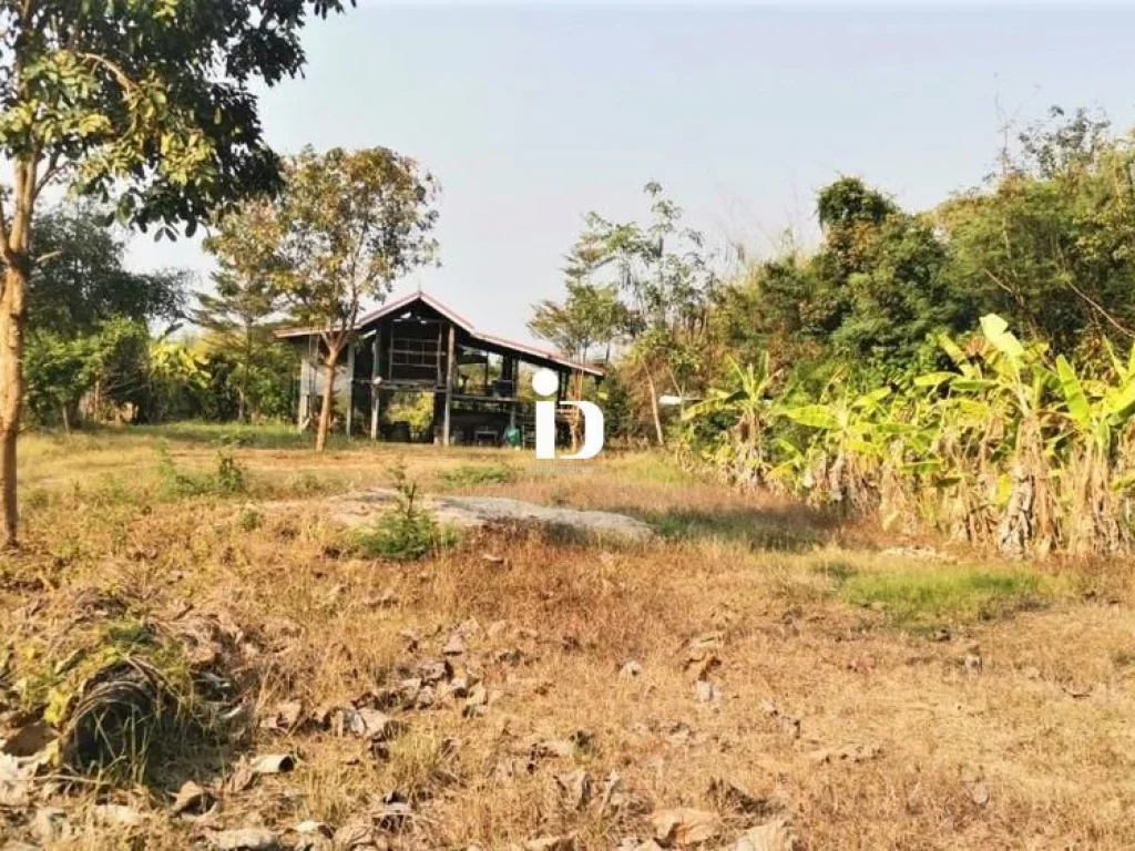 ขายที่ดินพร้อมบ้านเดี่ยว อำเภอเมือง จังหวัดหนองบัวลำภู