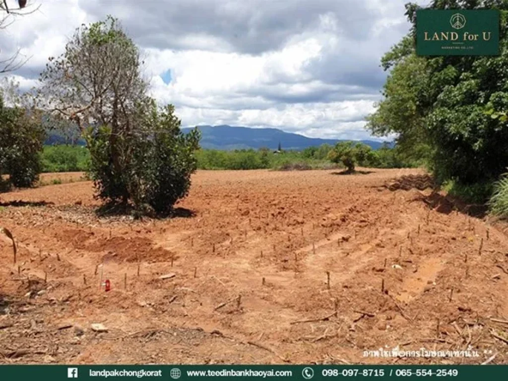 ขายที่ดินวิวเทือกเขาใหญ่ ถูกสุดในย่านนี้ ราคาหลักแสนต่อไร่ หมู่บ้านตะเคียนงาม ม8 ใกล้ร้าน เขาใหญ่ At tree café