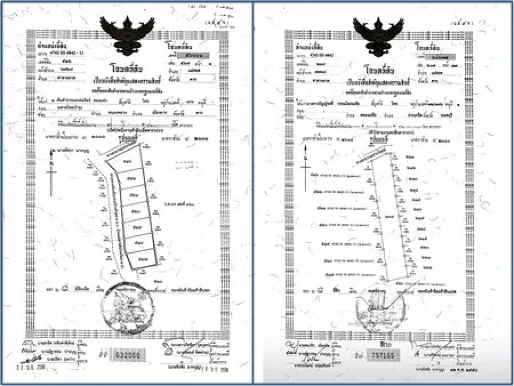 ขายที่ดินแม่สอด 13-1-11 ไร่ ที่ดินสวยมาก หน้ากว้างติดถนน เป็นพื้นที่เศรษฐกิจ