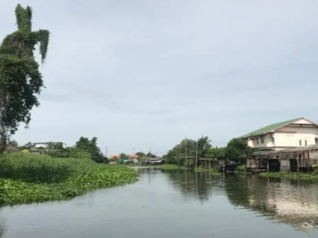 ขายที่ดินบางใหญ่ 5 ไร่ ใกล้มอเตอร์เวย์สายใหม่ บางใหญ่ - กาญจนบุรี และถนนตัดใหม่ นครอินทร์-ศาลายา